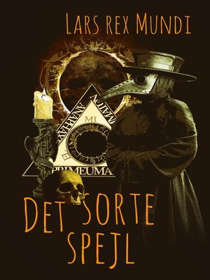 cover image of Det sorte spejl